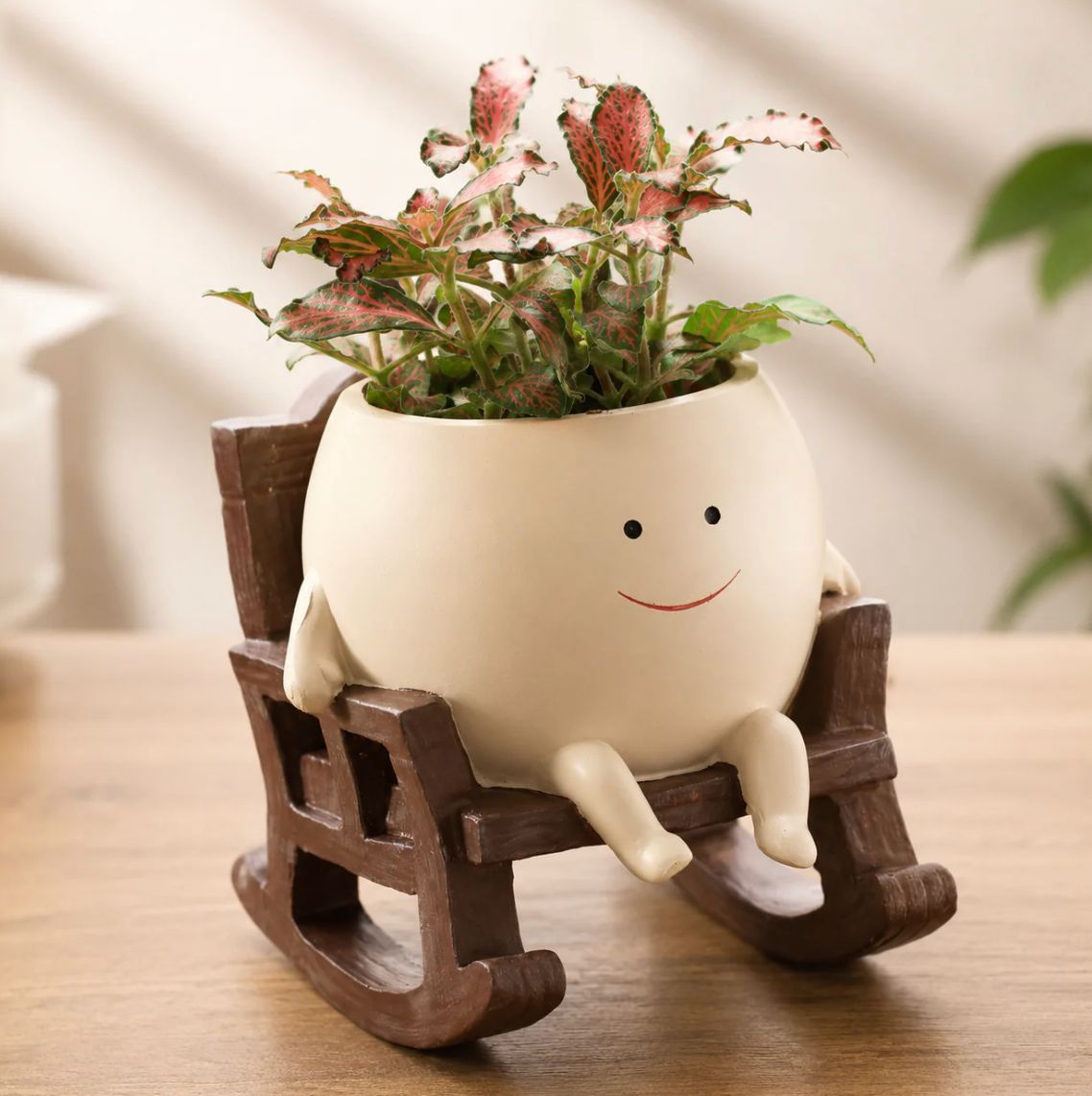 The Swinging Smiley Planter™