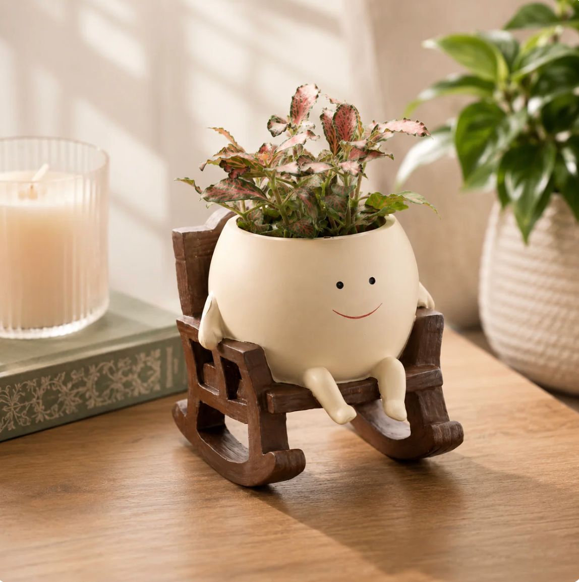 The Swinging Smiley Planter™