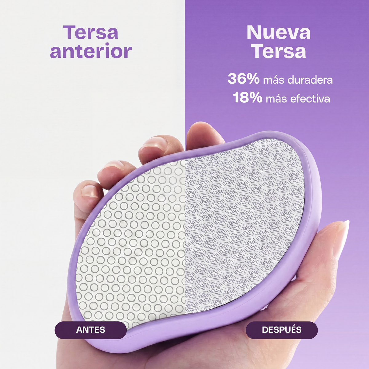 TERSA · La Piedra comparativa