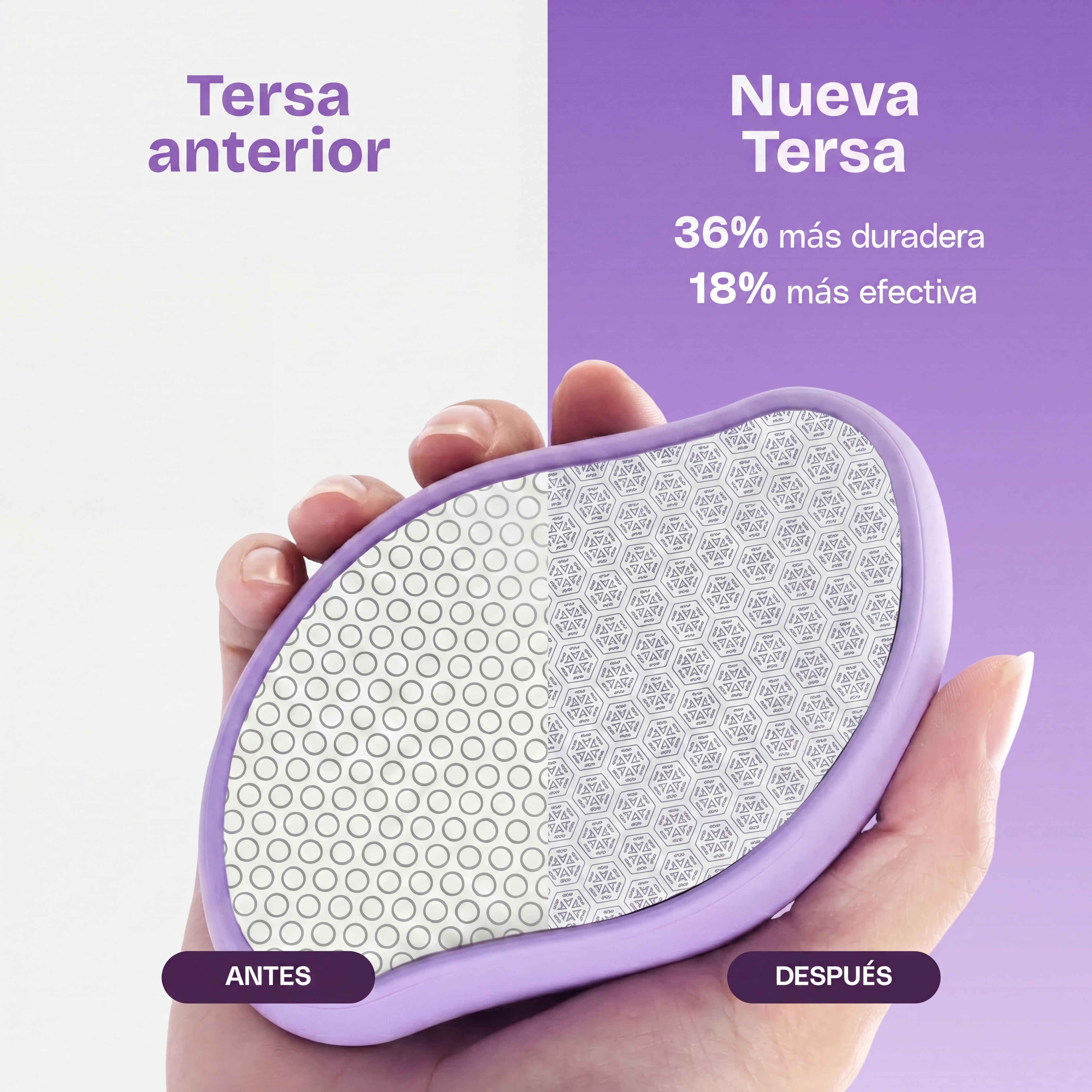 TERSA · La Piedra comparativa